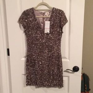 Parker Beaded Cluster Dress in Mauve Size L